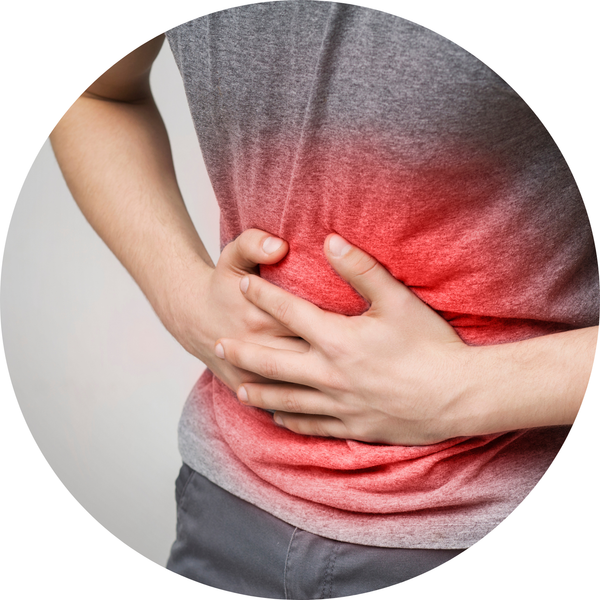 Digestion & Bloating