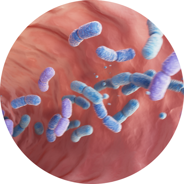 Probiotics