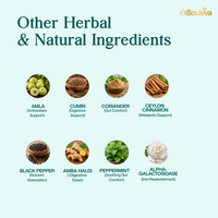 DE-BLOAT Digestive Wellness Herbal Shots