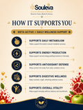 Meta Active+ Metabolism & Energy Effervescent Tablets
