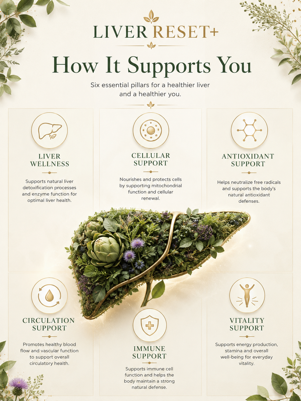 Souleva Liver Reset+ Effervescent Tablets for Liver Detox & Cellular Support