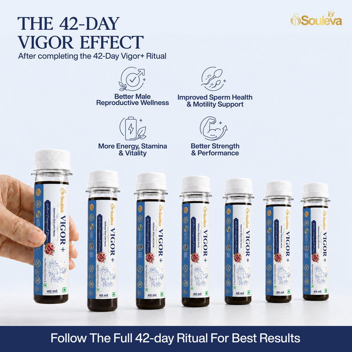 Vigor+ Men's Vitality Wellness Shots