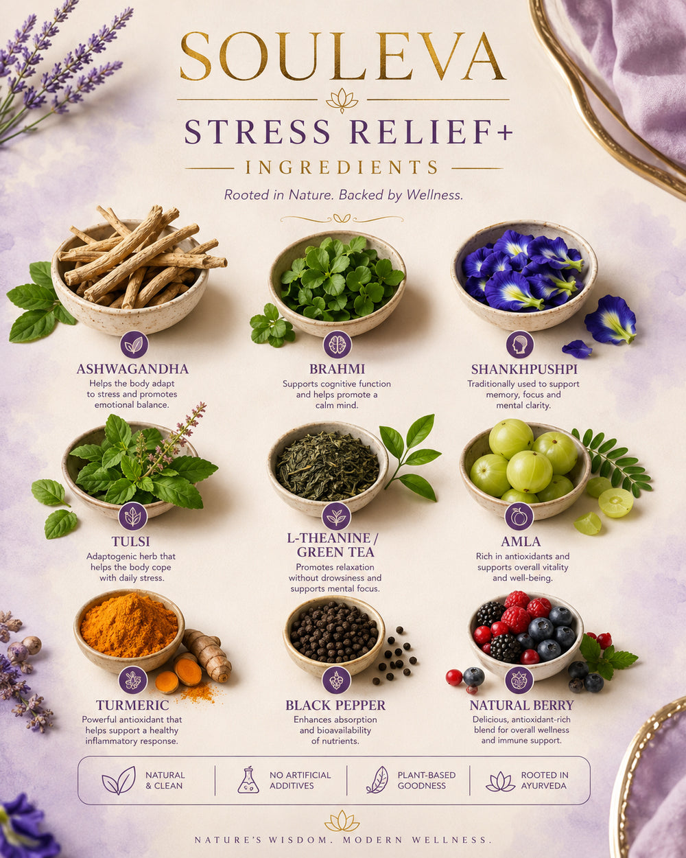 Souleva Stress Relief+ Herbal Wellness Shots