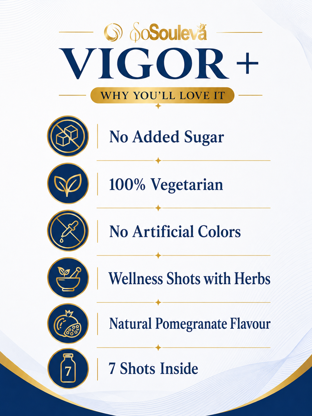 Souleva Vigor+ Men's Vitality Wellness Shots