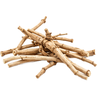 Bala Root