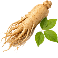 Ginseng