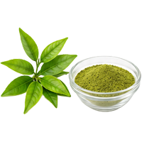 Green Tea