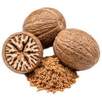 Nutmeg