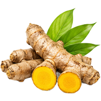 Amba Haldi