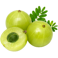 Amla