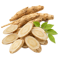Astragalus