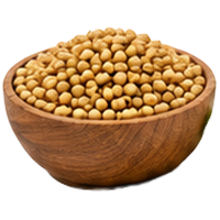 Coriander