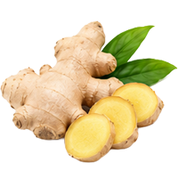Ginger
