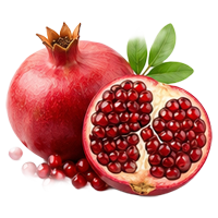 Pomegranate