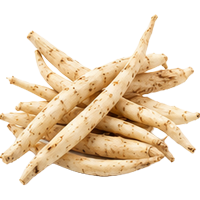 Safed Musli